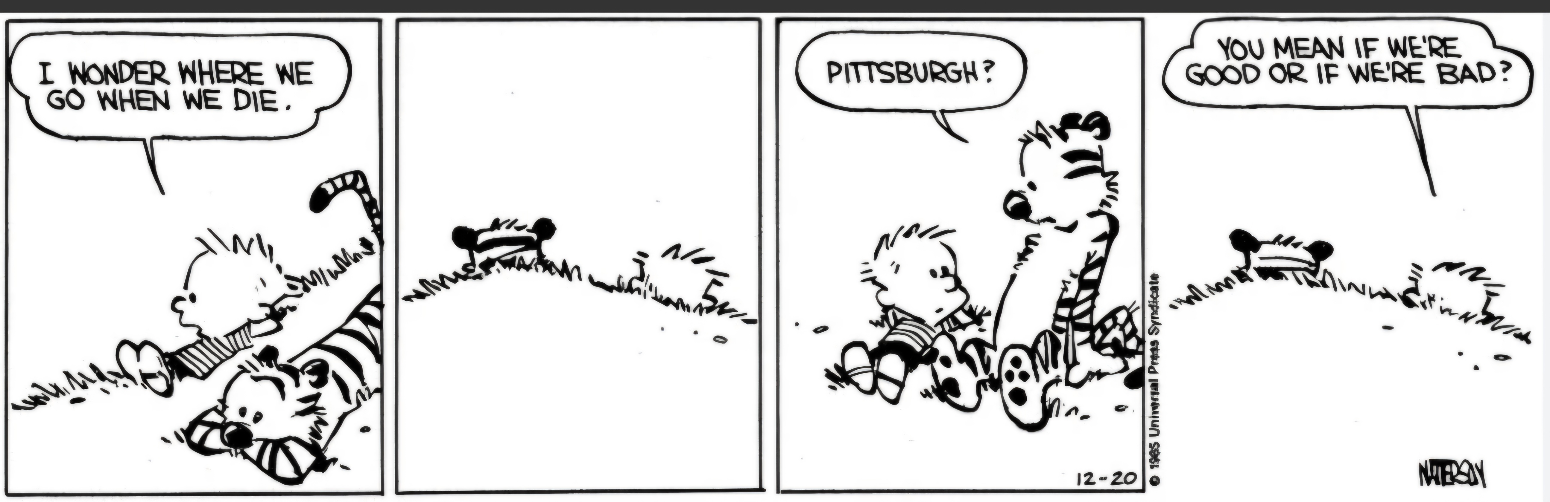 2024-12-30 Calvin Hobbes Pittsburgh.jpg
